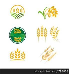Agriculture wheat rice vector icon design template