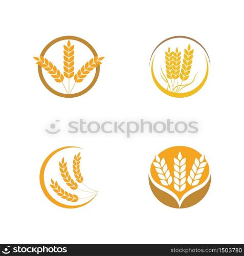 Agriculture wheat Template vector icon design illustration