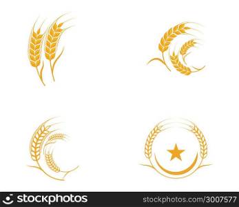Agriculture wheat Template vector icon design illustration