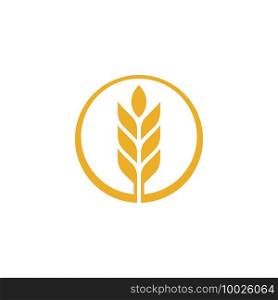 Agriculture wheat vector icon design 
