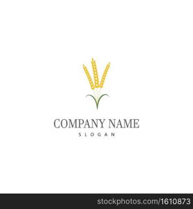 Agriculture wheat vector icon design 