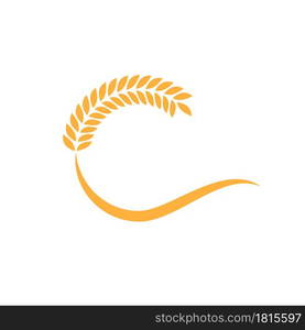 Agriculture wheat vector icon design