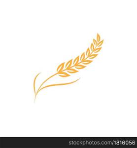 Agriculture wheat vector icon design