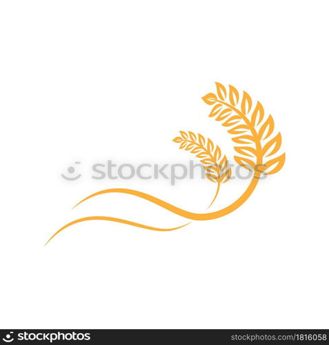 Agriculture wheat vector icon design