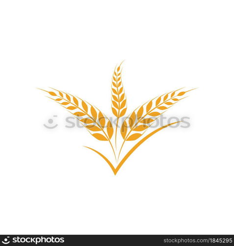 Agriculture wheat vector icon design