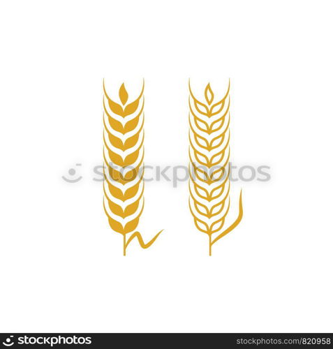 Agriculture wheat vector icon design