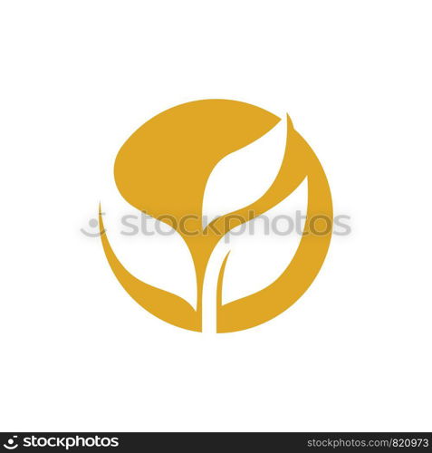 Agriculture wheat vector icon design