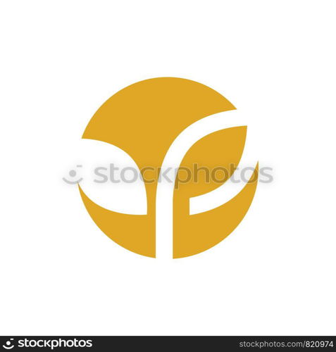 Agriculture wheat vector icon design