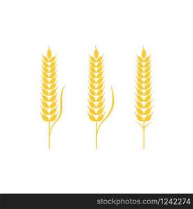 Agriculture wheat vector icon design illustration