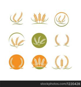 Agriculture wheat vector icon illustration design template