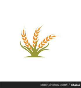 Agriculture wheat vector icon illustration design template