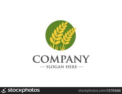 Agriculture Wheat with circle green background logo template vector, Luxury Wheat Logo Concept, Icon Symbol