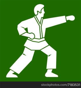 Aikido fighter icon white isolated on green background. Vector illustration. Aikido fighter icon green