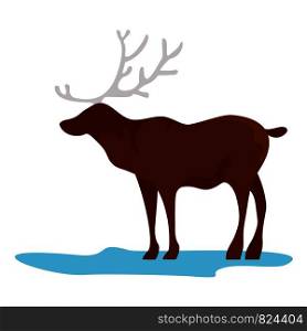 Alaska deer icon. Flat illustration of alaska deer vector icon for web design. Alaska deer icon, flat style