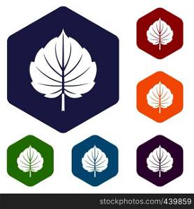 Alder leaf icons set hexagon isolated vector illustration. Alder leaf icons set hexagon