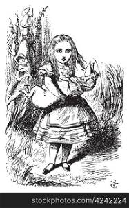 Alice and the pig baby - Alice&rsquo;s Adventures in Wonderland original vintage engraving.This time there could be no mistake about it: it was neither more nor less than a pig, and she felt that it would be quite absurd for her to carry it further.