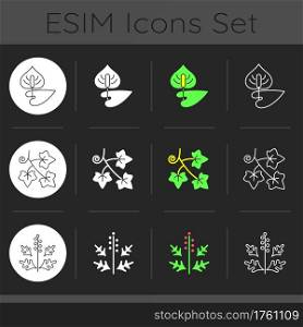 Allergy cause dark theme icons set. Anthurium, flamingo flower. Blooming laceleaf. Ragweed pollen. Common allergens. Linear white, solid glyph and RGB color styles. Isolated vector illustrations. Allergy cause dark theme icons set