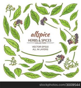 allspice elements set. allspice plant elements set on white background