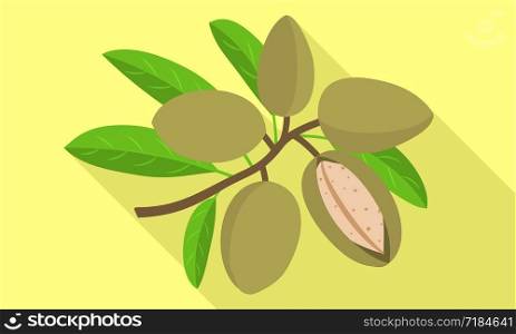Almond branch icon. Flat illustration of almond branch vector icon for web design. Almond branch icon, flat style