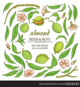 almond elements set. almond plant elements set on white background