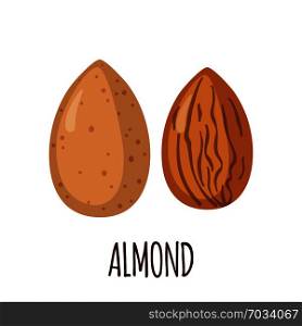 Almond icon in flat style isolated on white background. Organic food. Vector illustration. Ingredient for ketogenic diet.. Almond icon in flat style isolated on white.