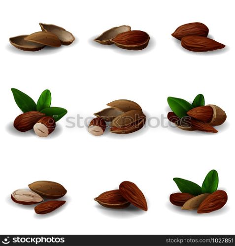 Almond icons set. Cartoon set of almond vector icons for web design. Almond icons set, cartoon style