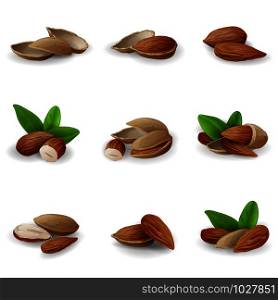 Almond icons set. Cartoon set of almond vector icons for web design. Almond icons set, cartoon style