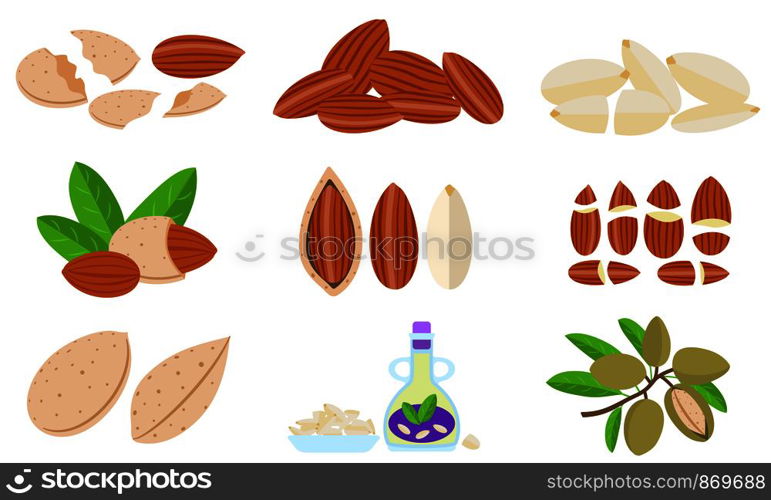 Almond icons set. Flat set of almond vector icons for web design. Almond icons set, flat style