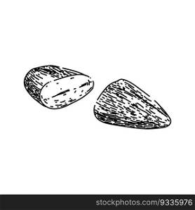 almond nut cut hand drawn. food sweet, raw view, top leaves, broken leaf, fruit pile almond nut cut vector sketch. isolated black illustration. almond nut cut sketch hand drawn vector
