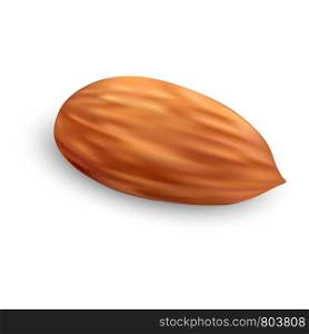 Almond nut icon. Realistic illustration of almond nut vector icon for web design. Almond nut icon, realistic style