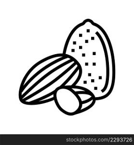 almond nut line icon vector. almond nut sign. isolated contour symbol black illustration. almond nut line icon vector illustration