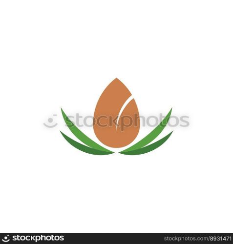 almond nut logo icon vector design