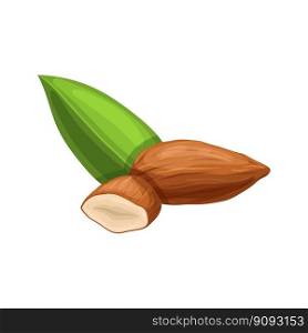 almond nut seed cartoon. food nutrition, healthy ingredient, organic vegetarian, natural nature, diet, kernel almond nut seed vector illustration. almond nut seed cartoon vector illustration