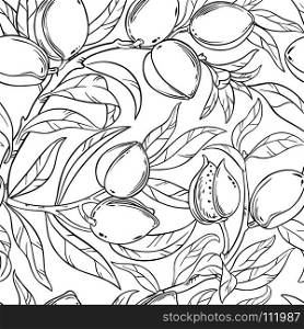 almond seamless pattern. almond branches seamless pattern on white background