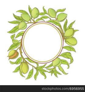 almond vector frame. almond branches vector frame on white background