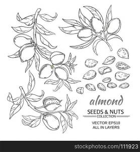 almond vector set. almond branches vector set on white background