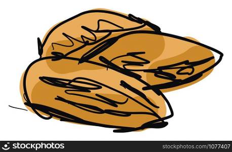 Almonds drawing, illustration, vector on white background.