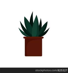 Aloe cactus pot icon. Flat illustration of aloe cactus pot vector icon for web design. Aloe cactus pot icon, flat style