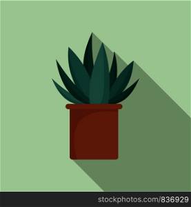 Aloe cactus pot icon. Flat illustration of aloe cactus pot vector icon for web design. Aloe cactus pot icon, flat style