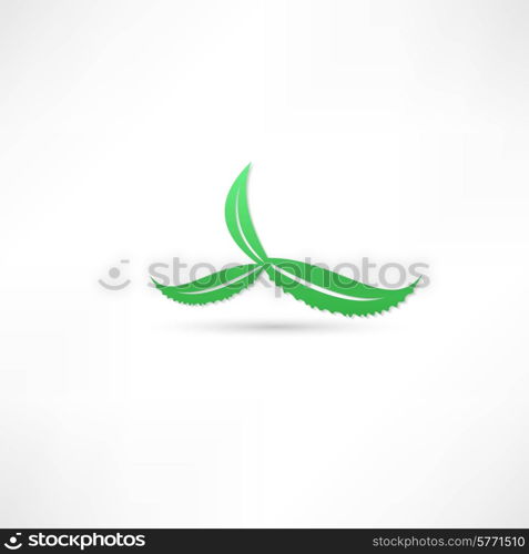 aloe green icon