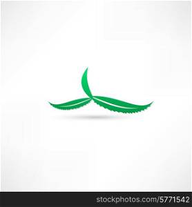 aloe green icon