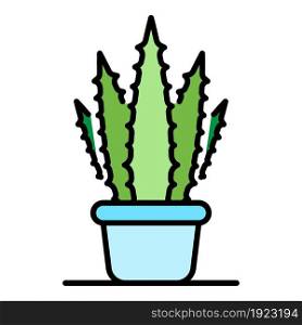 Aloe home pot icon. Outline aloe home pot vector icon color flat isolated on white. Aloe home pot icon color outline vector