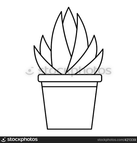 Aloe humilis plant icon. Outline illustration of aloe humilis plant vector icon for web. Aloe humilis plant icon, outline style