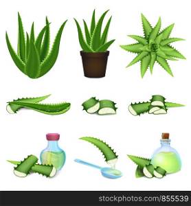 Aloe icons set. Cartoon set of aloe vector icons for web design. Aloe icons set, cartoon style