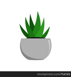 Aloe in white pot icon. Flat illustration of aloe in white pot vector icon for web isolated on white. Aloe in white pot icon, flat style