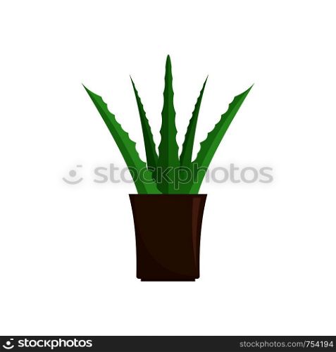 Aloe plant icon. Flat illustration of aloe plant vector icon for web isolated on white. Aloe plant icon, flat style