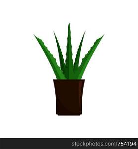 Aloe plant icon. Flat illustration of aloe plant vector icon for web isolated on white. Aloe plant icon, flat style