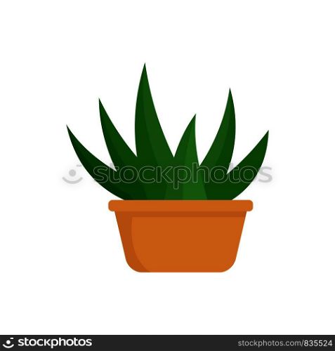 Aloe room plant icon. Flat illustration of aloe room plant vector icon for web isolated on white. Aloe room plant icon, flat style