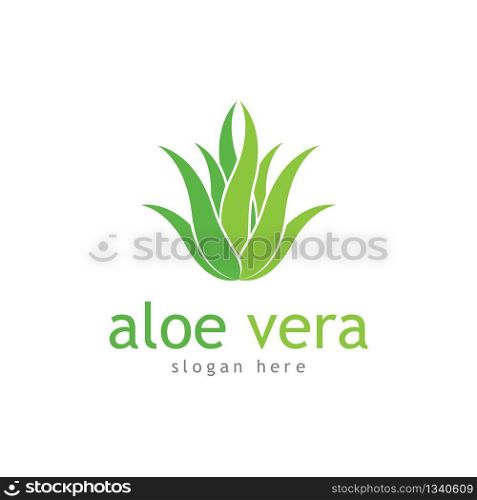 Aloe vera cosmetic herbal vector icon illustration