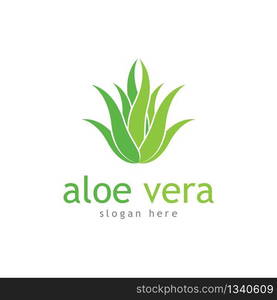 Aloe vera cosmetic herbal vector icon illustration